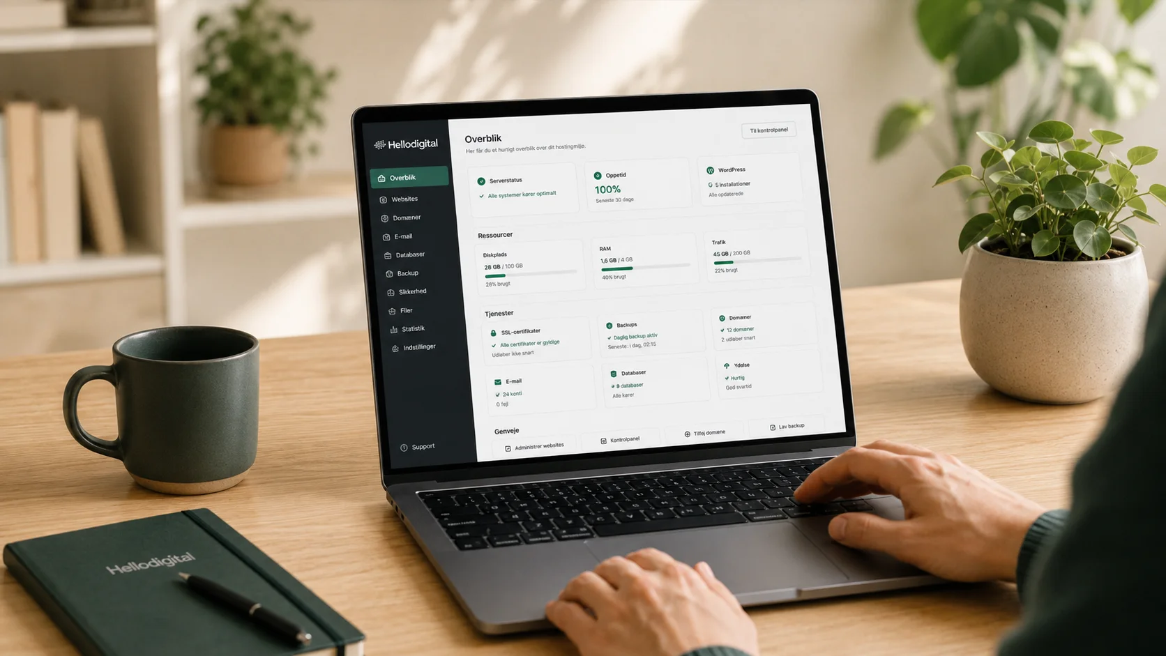 WordPress hosting med klare vilkår hos Hellodigital